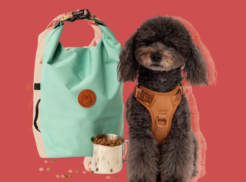Shop Pet Travel Essentials