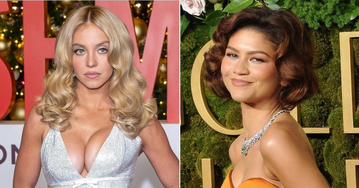 picture of Sydney Sweeney and Zendaya