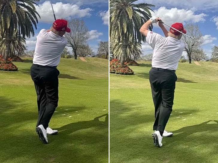 015b58d4d42c412db26148f5223b2668_md trump ai side by side.jpg