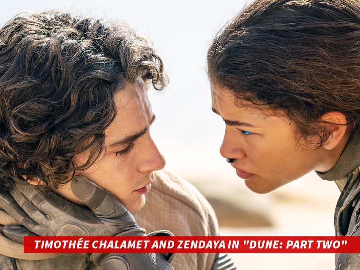 02fb1ac93ddd47298656efe27b47fa02_md Timothée Chalamet And Zendaya in