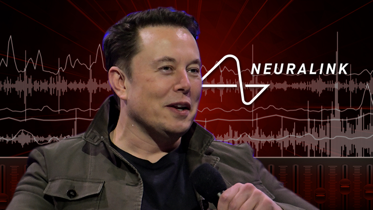 elon-musk-audio-1