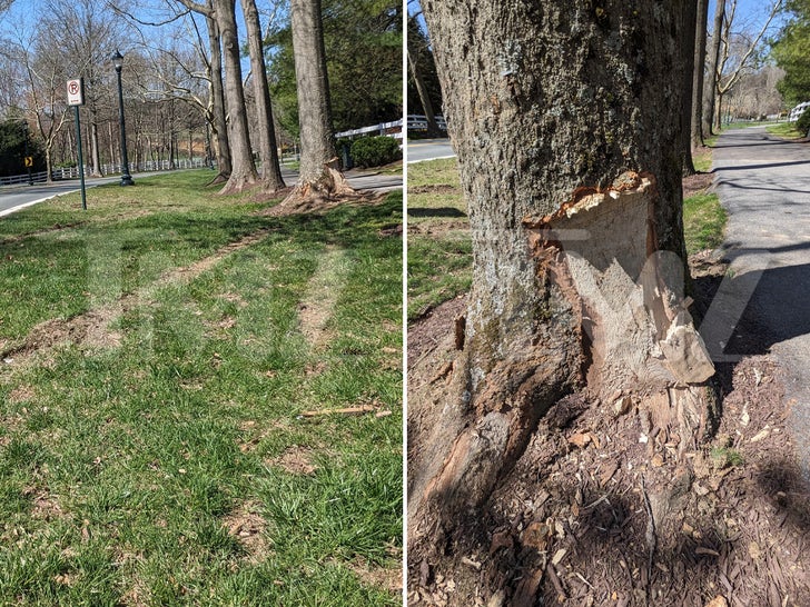 Karen Huger DUI -- The Alleged Crash Scene