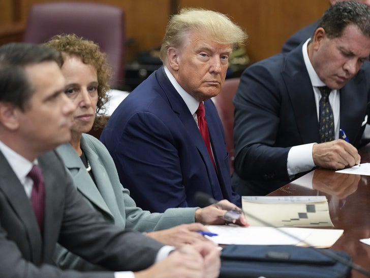 0f5749a2908040d18dc374707cdddfef_md-2 Donald Trump Arrested in Stormy Daniels Hush Money Case, Pictured In Court
