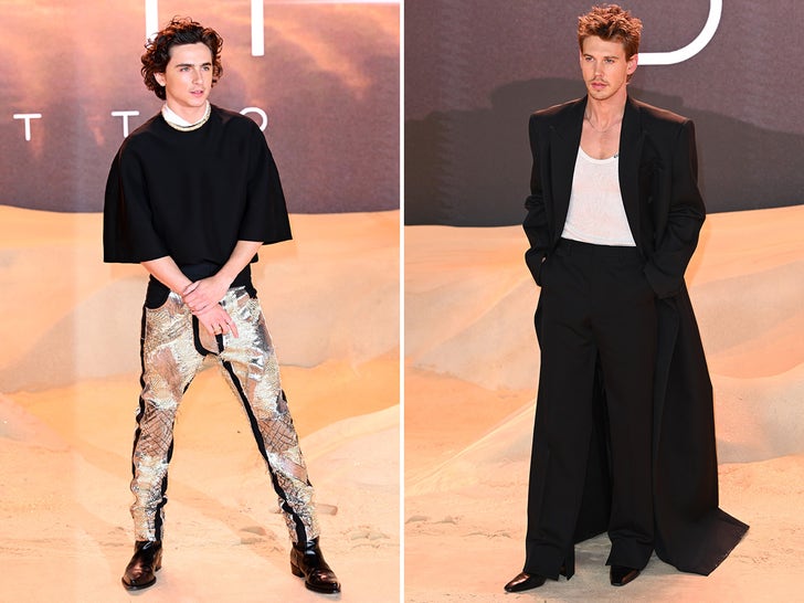 0fc9023b398441a7813b6042a7a2f2ae_md 0215-Dune-Part-Two-Premiere-London-Zendala-Chrome-Silver--Tin-Man-primary-5