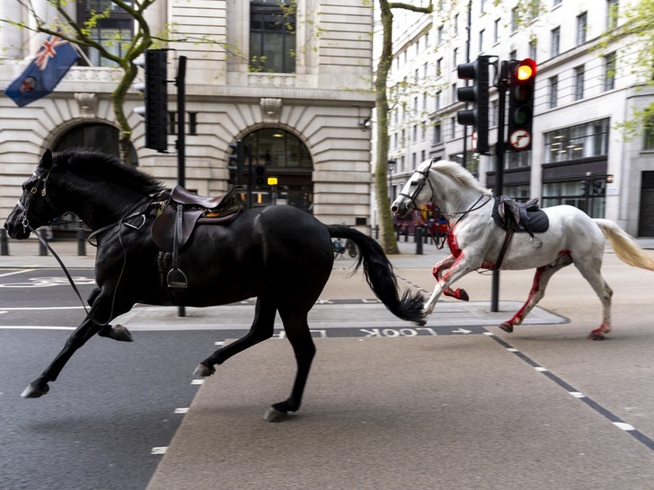 10e17ccc3ba44fffae4e3317c2413d1e_md Horses Loose On The Streets Of London