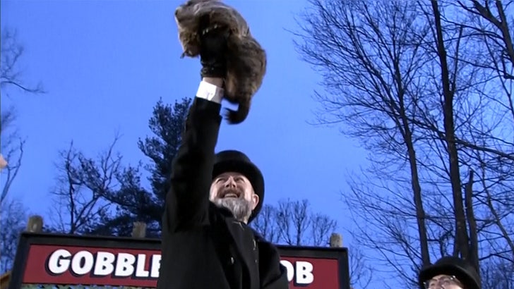 1bd9b0ec8c774f5db8d398fabb685068_md 020224_groundhog_phil-kal