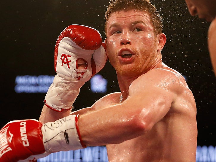 Canelo Alvarez Boxing Photos