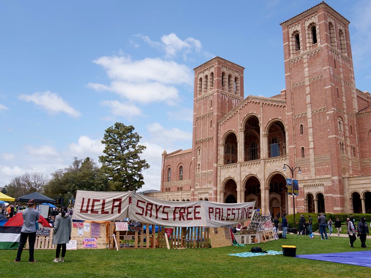 1e7d356e9d3f448f8efc5bd32d18aa5f_md UCLA Pro-Palestine Protests
