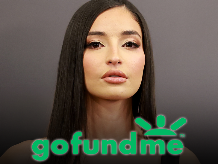 Emily Willis main gofundme