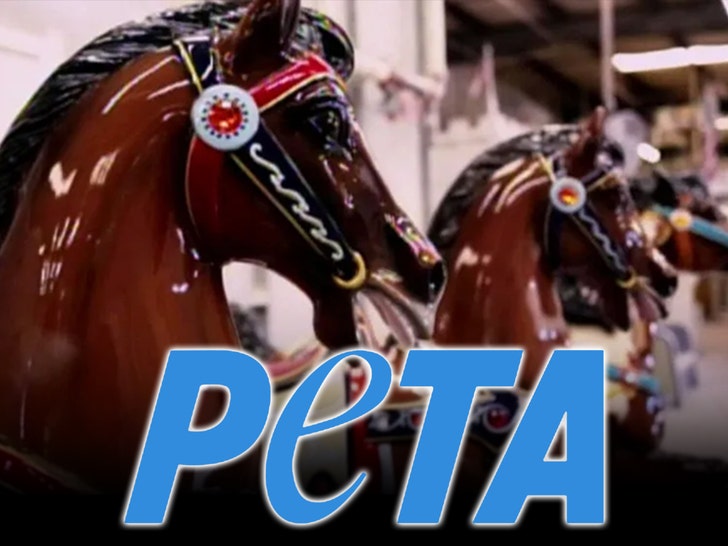 peta ksn horses