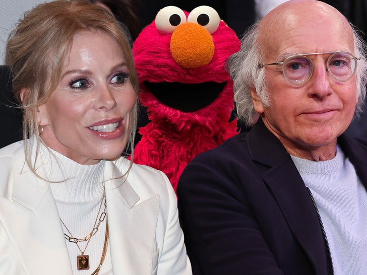 250ed358c43c46eea2956d5525c3adaa_md cheryl hines larry david elmo