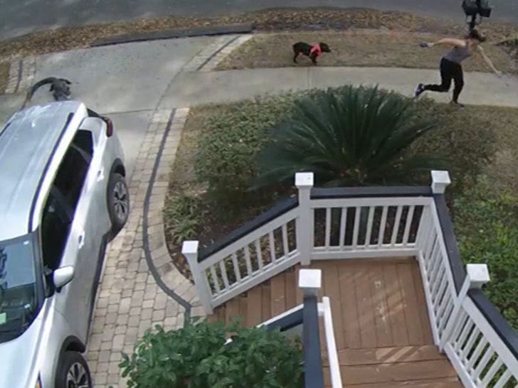 030124-alligator-scare-run-primary