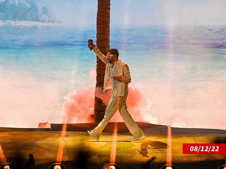 Bad bunny at Hard Rock Stadium