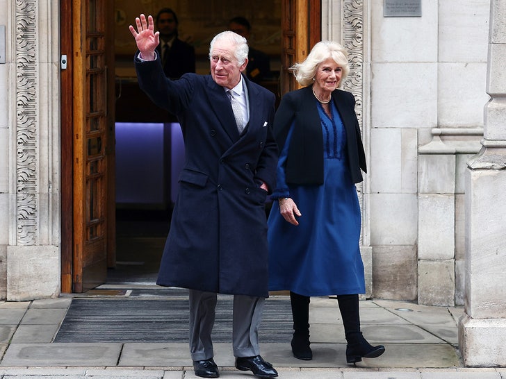 king charles camilla sub 1