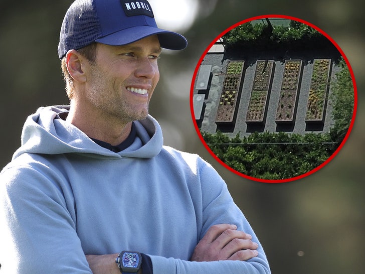 26813c3fdf9d4c91ac8d32a736c9dc35_md Tom Brady Garden Main