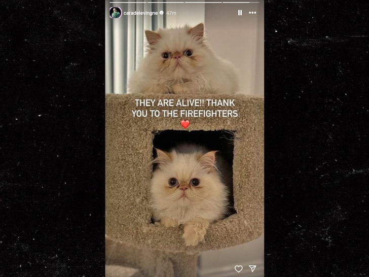 27c73a6140f84513b2f64357abf028dc_md cara delevigne insta 1