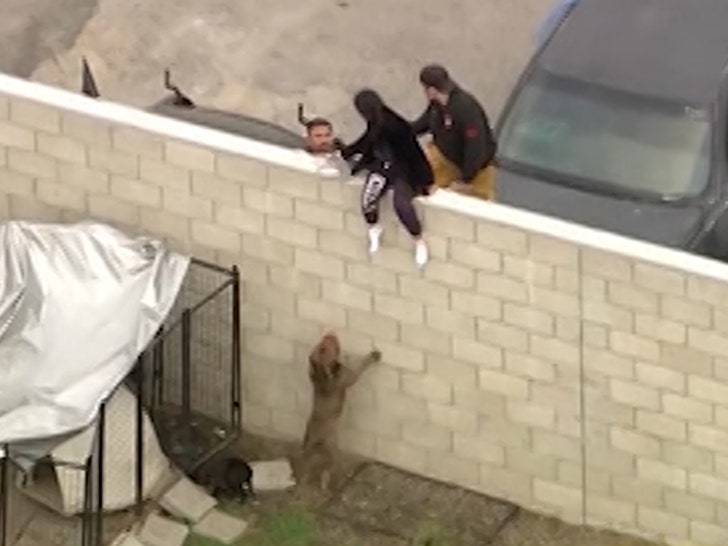 2b618f823bad41dfb3da6514ce5a777b_md-4 021624-dog-mauling-woman-primary