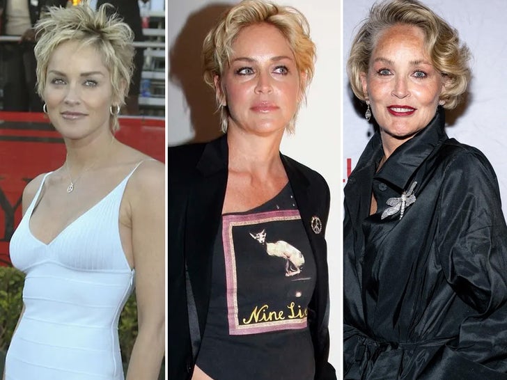 Sharon Stone Through The Years