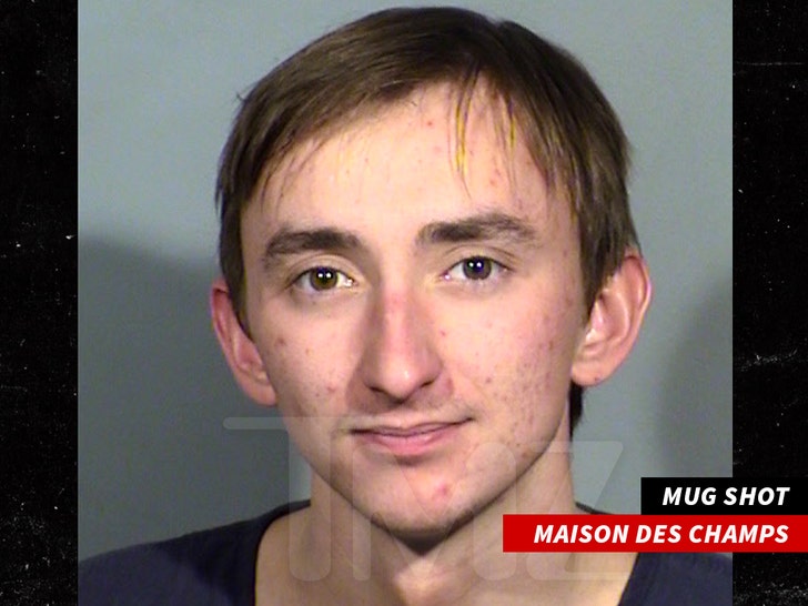 Maison Des Champs mug