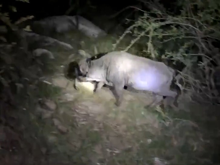 031224-jenifer-lewis-buffalo-primary