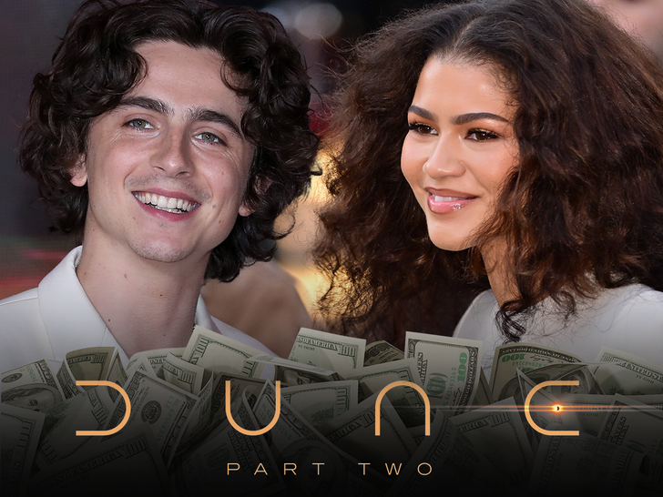 3490f476128d46f8ab11d5e3dd6806a7_md Timothée Chalamet And Zendaya in