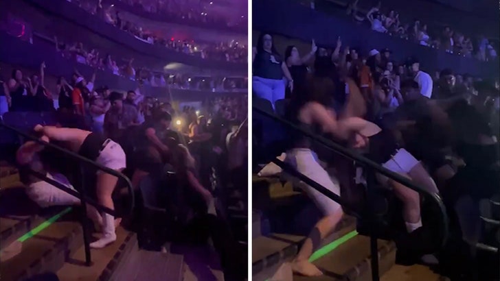 Bad Bunny Concert Fight