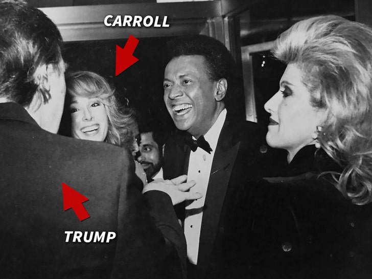 3875c73513cd465a873bd50e9c975621_md-2 donald trump jean carroll