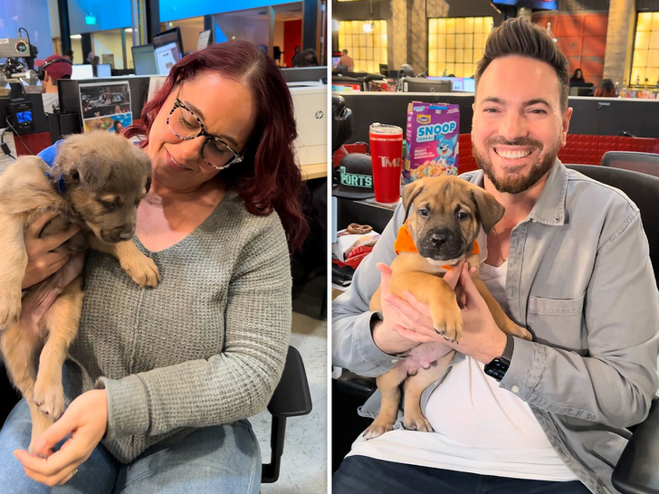 020824 Nikki and Michael puppies