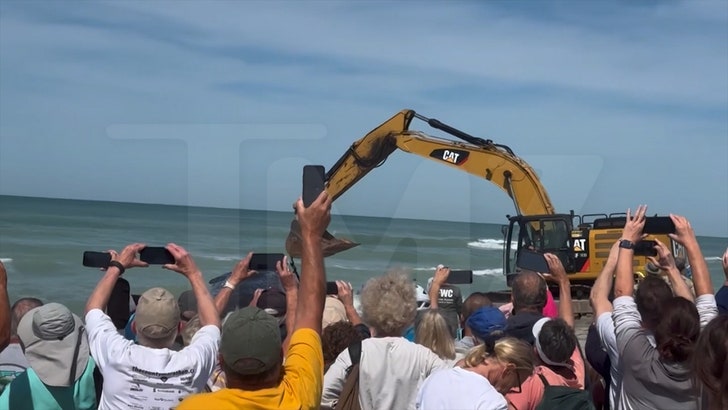 426e1b92b68646dd8739a9a38b1a2183_md 031224_beached_whale_crowd_kal