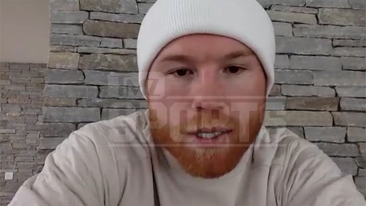 4417a88ea6324b8d8f7615e421d14294_md 032724_canelo_alvarez_jake_paul-kal