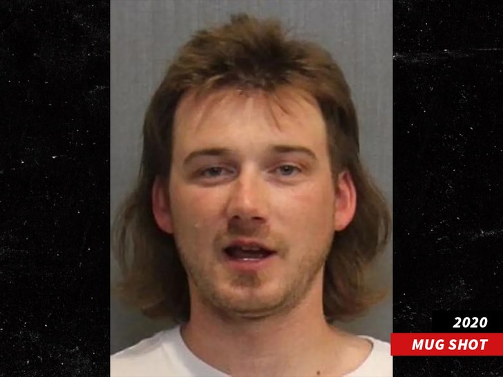 4438f1c00bfb44b08e1fe5689e909391_md morgan wallen mug shot 2020