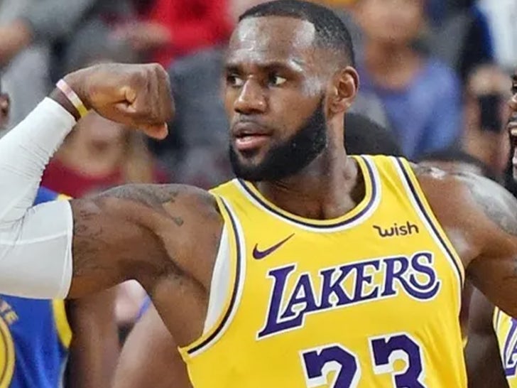 LeBron James on the Lakers