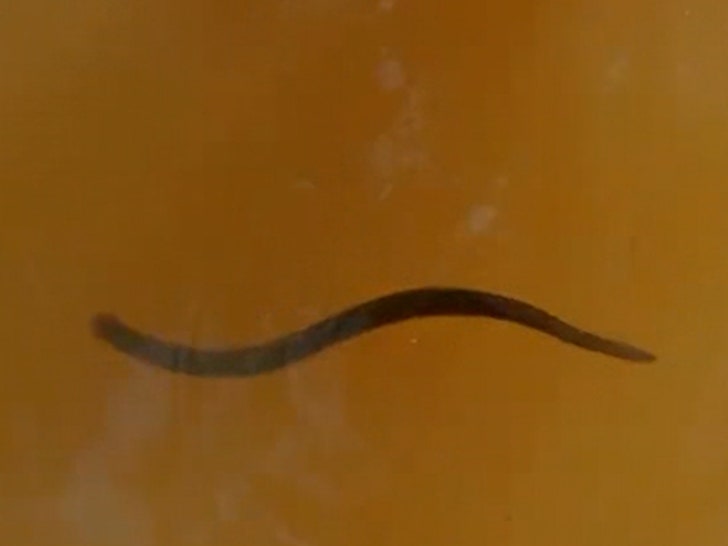 030624_naked_afriad_sg2