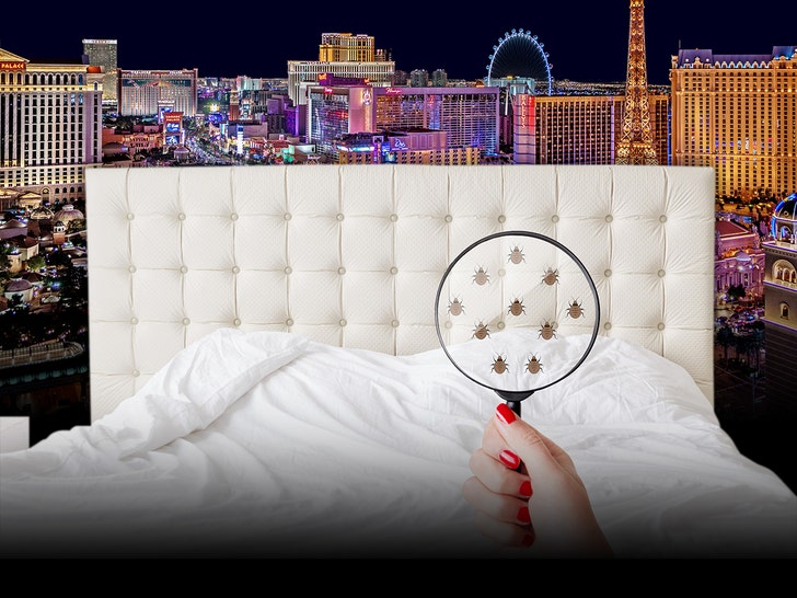 513cedb37a284320bc1b64db3c1904e7_md bed bugs getty tmz 1
