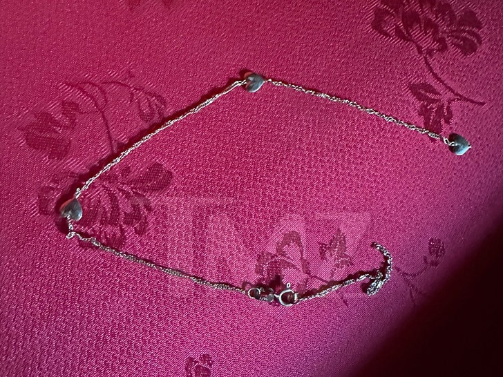 zak bagans and Masumi Max chest