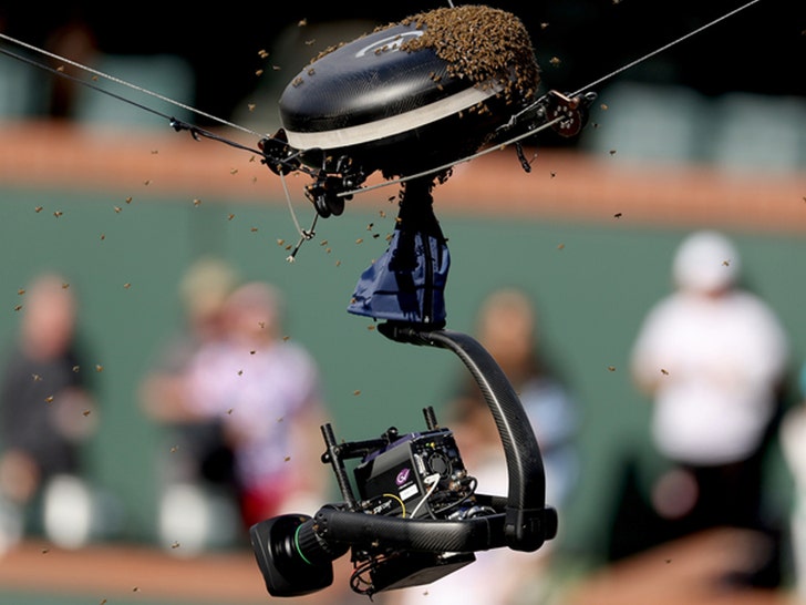 0314 Carlos Alcaraz gettting attacked by bees during a match getty 2