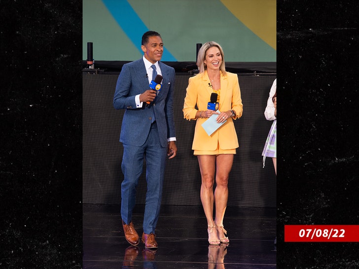 amy robach tj holmes