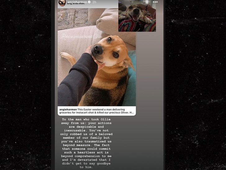 0401 Angie Harmon sad dog