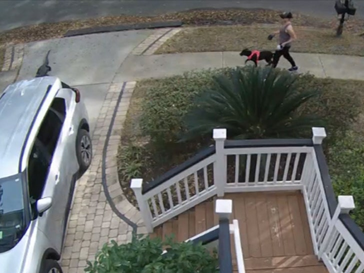 030124-alligator-scare-walking-primary