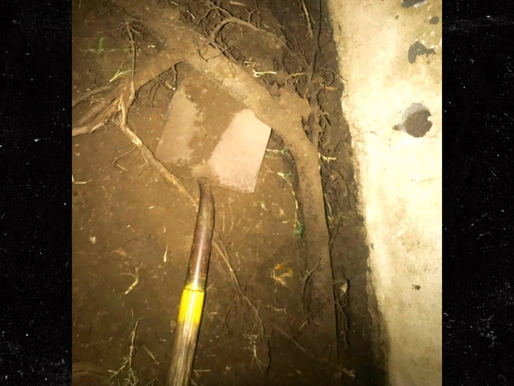 5b9187eff86e4c74b236d188913fd381_md 0430-Chris-Pine-Tree-Damage-SUB-1