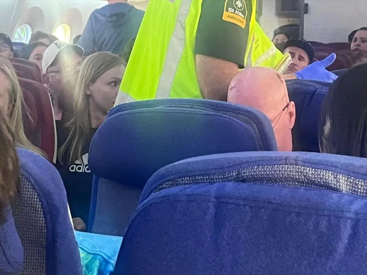 passenger plane nosedives 3