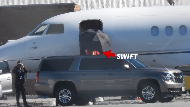 021124_taylor_swift_plane_kal_v2