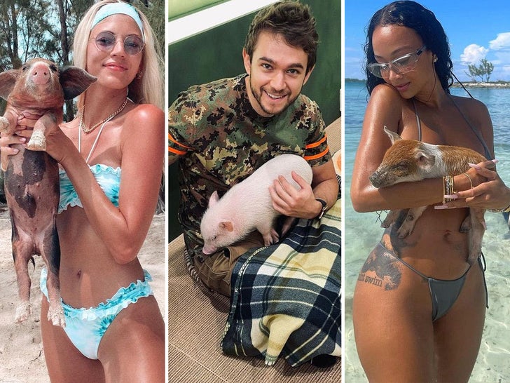 6bd19e17dd9142dd979f0d86230161e7_md Celebs Pigging Out