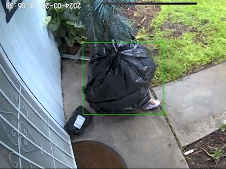 040424-trash-bag-thief-primary