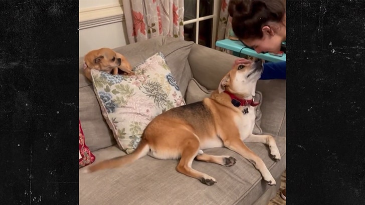 040124_angie_dog_kal