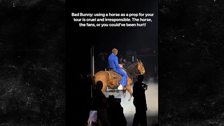 022424_bad_bunny-kal