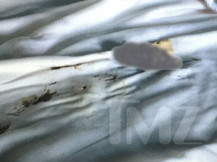 74079dd983e3421698c289cc0fbf37d2_md 0418-depp-poo-onbed-tmz-06