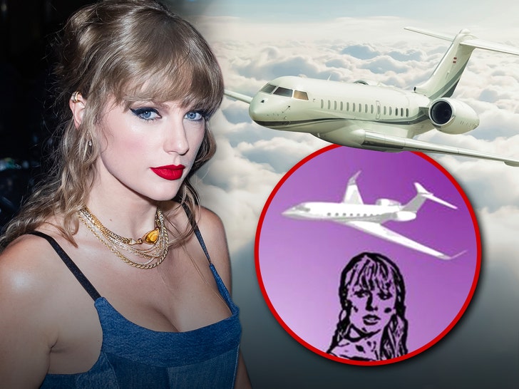 taylor swift jets lawsuit