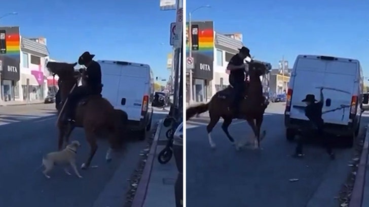 022824_dog_melrose-kal