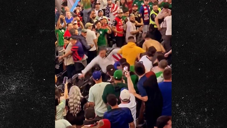 032524_usa_mexico_brawl_crowd_kal